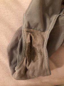 Stained panties from shark week