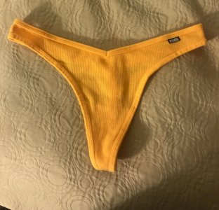 Customizable panty