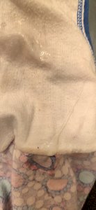 Cum Here