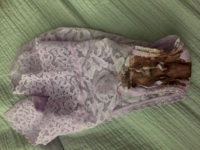 Shark Week Panties
