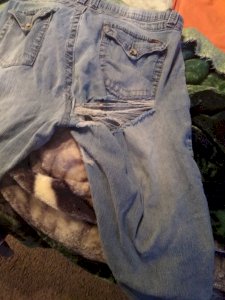 Worn out pants