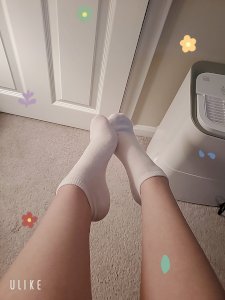 Adorable Socks