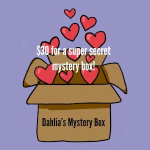 Super Secret Mystery Box/Bundle