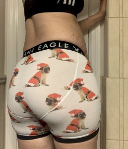 American Eagle Briefs