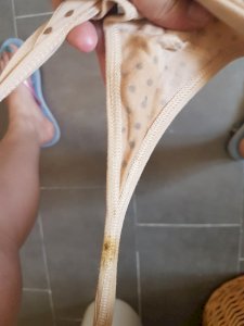 No wiping thong