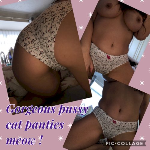 Gorgeous pussy cat panties !